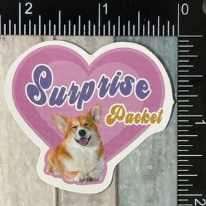 🌀10/$10🌀 Retro Pet Reusable Waterproof Vinyl Sticker Decal